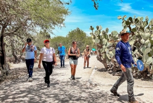 Mexico City: Teotihuacan Early Access & Tula Private Tour