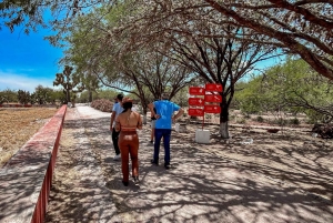 Mexico City: Teotihuacan Early Access & Tula Private Tour