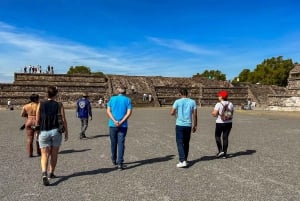 Mexico City: Teotihuacan Morning Half-Day Tour with Lunch