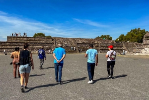Ciudad de México: Teotihuacan Primera Entrada con Guía Experto