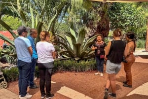 Ciudad de México: Visita a Teotihuacán, Santuario de Guadalupe y Tlatelolco