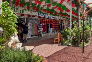 Ciudad de México: Visita a Teotihuacán, Santuario de Guadalupe y Tlatelolco