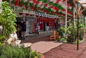 Ciudad de México: Visita a Teotihuacán, Santuario de Guadalupe y Tlatelolco