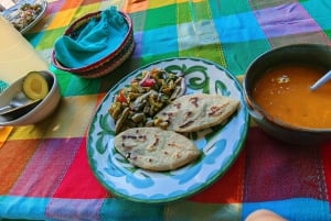 Ciudad de México: Tour a Teotihuacan y almuerzo vegano/vegetariano casero