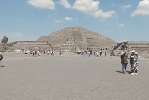 Mexico City: Teotihuacan Tour & Vegan/Veggie homemade Lunch