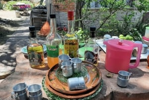 Mexico City: Teotihuacan Tour & Vegan/Veggie homemade Lunch