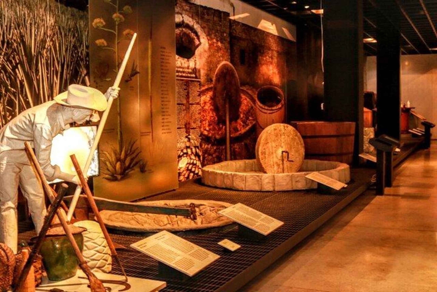 Ciudad de México: ticket de entrada al Museo del Tequila y Mezcal con degustaciones