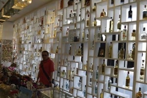 Mexico City: Tequila and Mezcal Museum Ticket with Tastings