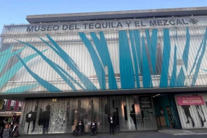 Mexico City: Tequila and Mezcal Museum Tour with Tasting