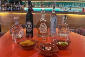 Ciudad de México: Visita al Museo del Tequila y el Mezcal con Degustación