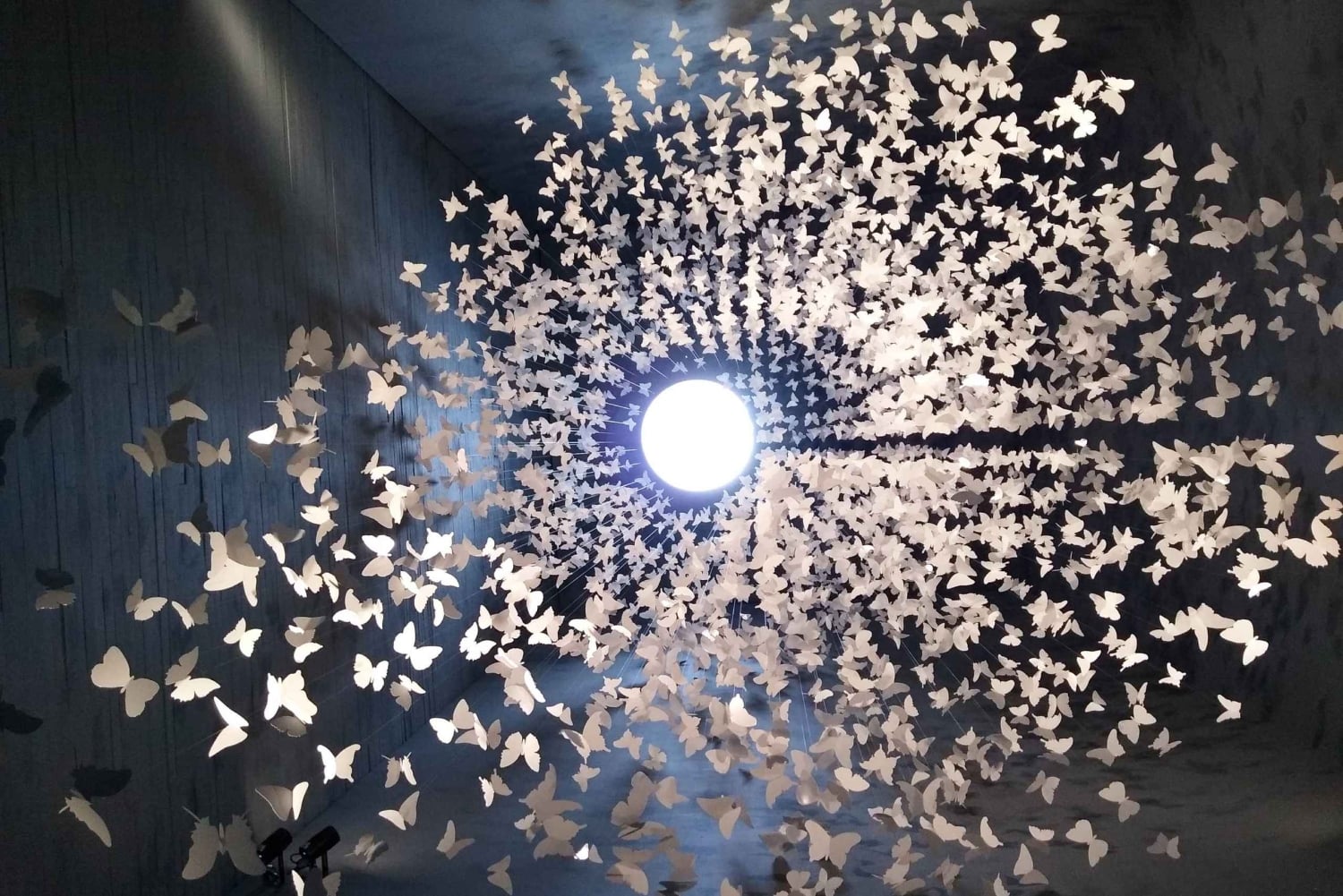 Mexico City: Ticket de entrada Museo Memoria y Tolerancia