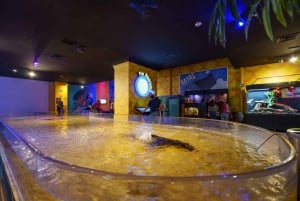 Mexico City: Inbursa Aquarium Ticket with VR Option