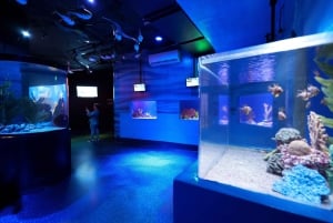 Mexico City: Inbursa Aquarium Ticket with VR Option
