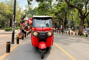 Mexico City: Tuktuk Tour – Roma Condesa