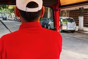 Mexico City: Tuktuk Tour – Roma Condesa