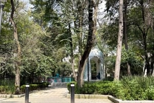 Mexico City: Tuktuk Tour – Roma Condesa