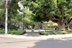 Mexico City: Tuktuk Tour – Roma Condesa