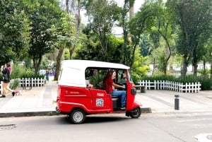 Mexico City: Tuktuk Tour – Roma Condesa
