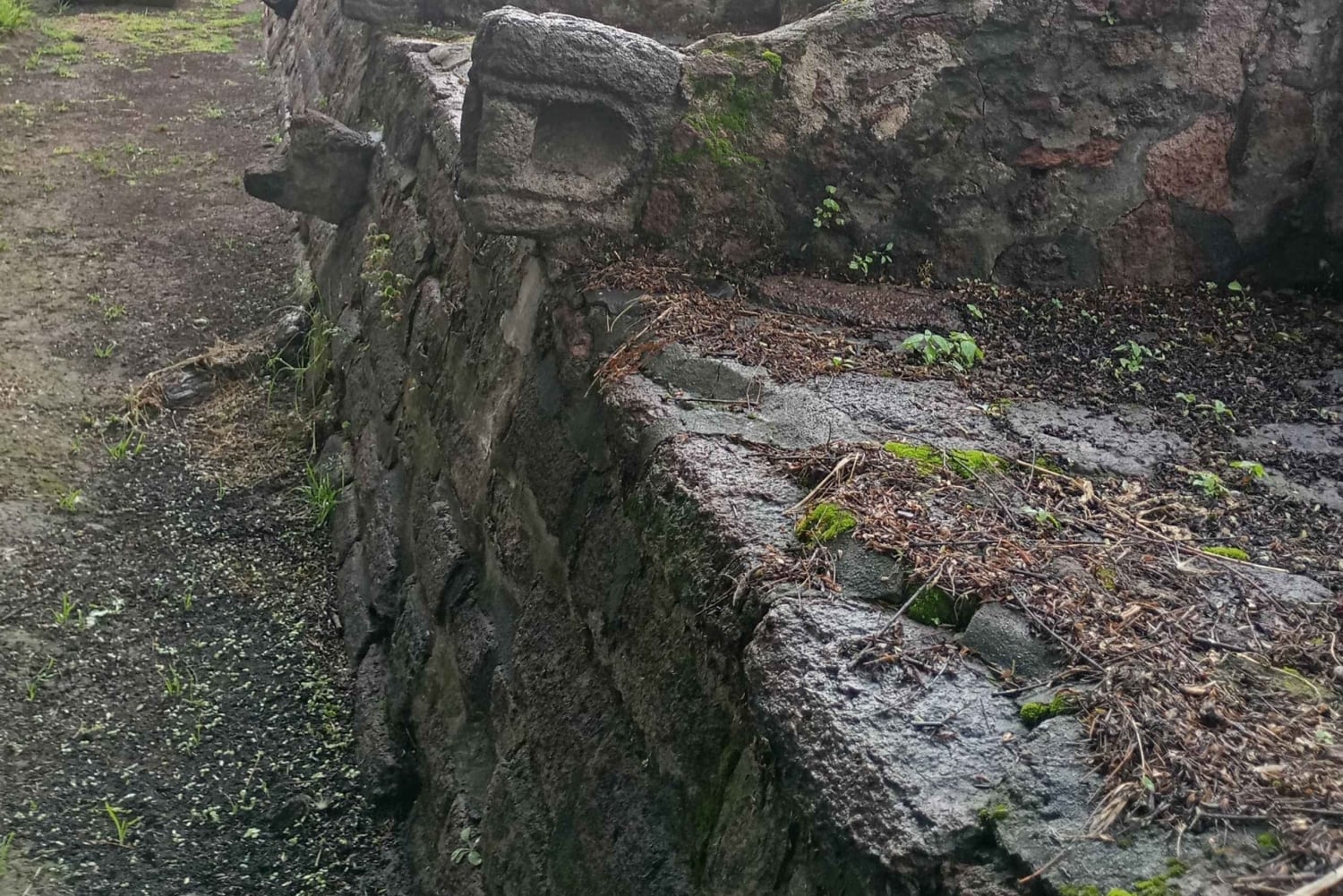 Ciudad de México: excursión de un día a Tula, Tlatelolco y Tenayuca
