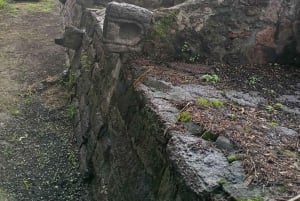 Mexico City: Tula, Tlatelolco, & Tenayuca Day Trip