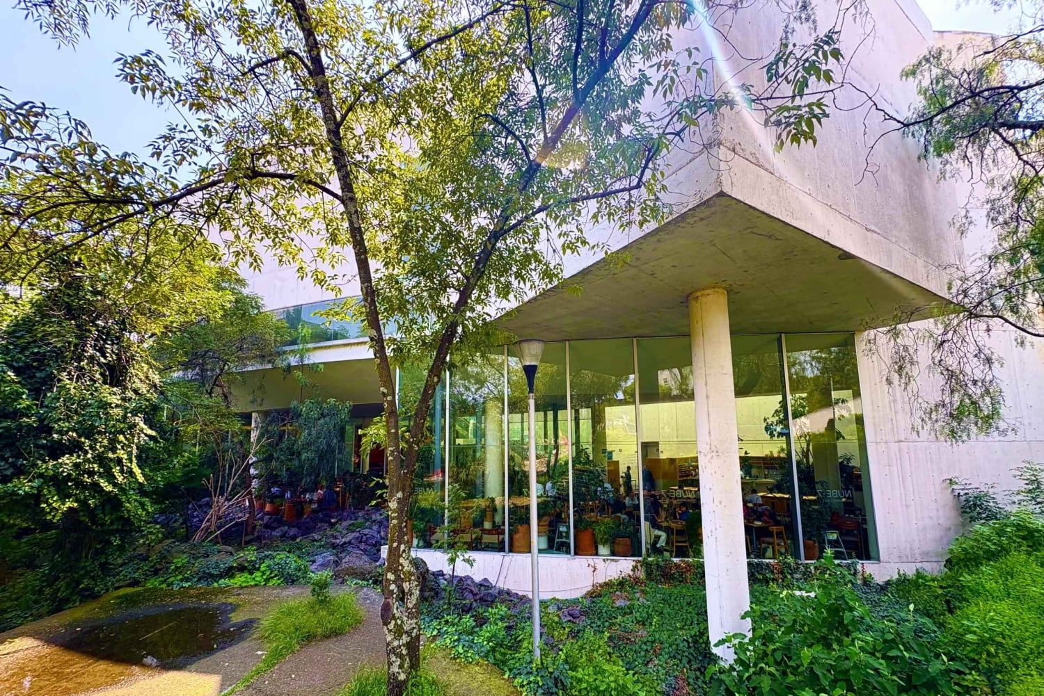 Mexico City: UNAM Campus walking Tour with Guide