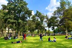Mexico City: UNAM Campus walking Tour with Guide