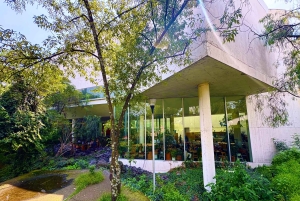 Mexico City: UNAM Campus walking Tour with Guide