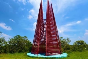 Mexico City: UNAM Campus walking Tour with Guide