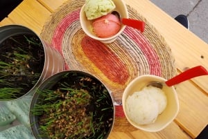 Mexico City Vegan Food Tour: Journey in Roma and Condesa