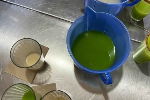 Mexico City: Walk & Eat through Mexican Gastronomy History