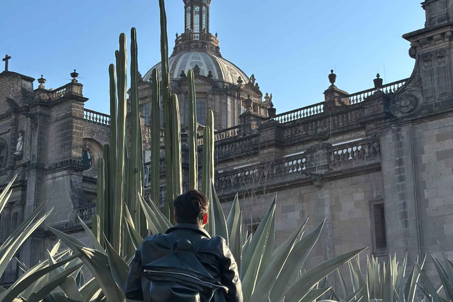 Ciudad de México: Tour a pie en el centro, una vista del pasado al presente