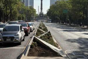 Mexico City: Walking Tour of the Historic Center 'El paso de la CDMX'