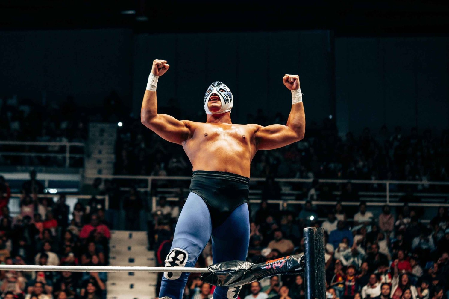 CDMX: Tour de Lucha Libre, Mezcal, Tequila y Show en Vivo