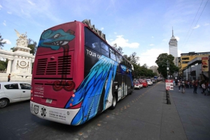 Mexico City: Wrestling Show Ticket & Double-Decker Bus Trip