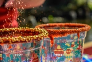 Ciudad de México: Fiesta en barco en Xochimilco con bebidas y aperitivos