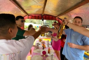 Ciudad de México: Fiesta en barco en Xochimilco con bebidas y aperitivos