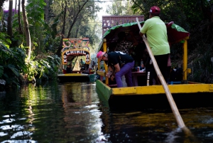 Ciudad de México: Fiesta en Barco en Xochimilco con Tequila y Mariachi