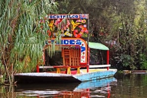 Ciudad de México: Xochimilco, Coyoacán y tour de la ciudad universitaria