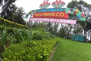 Mexico City: Xochimilco, Coyoacán and University City Tour