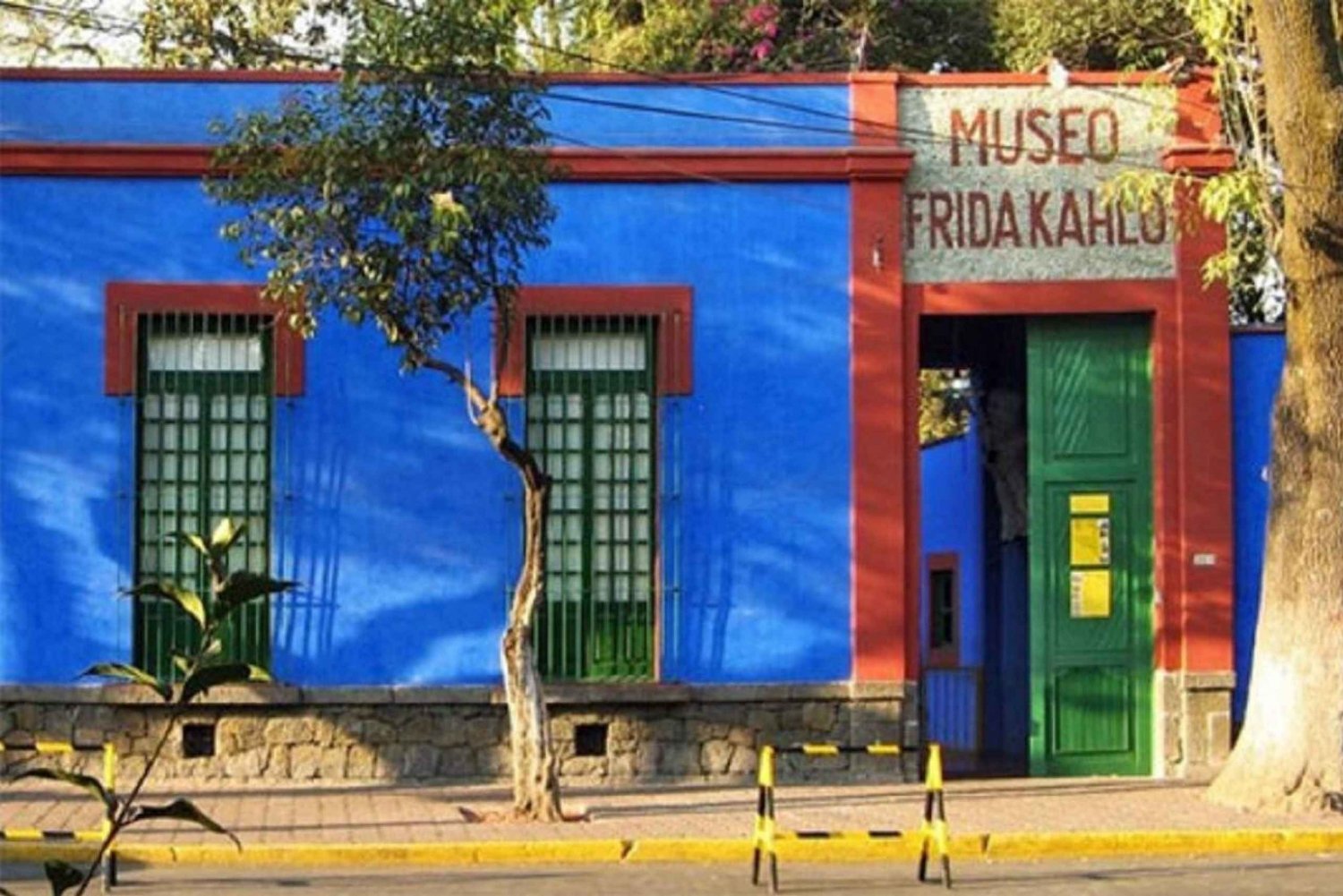 Ciudad de México: Recorrido por Xochimilco, Coyoacán y el Museo de Frida Kahlo