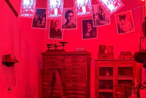 Ciudad de México: tour privado por Xochimilco, Coyoacán y Frida Kahlo