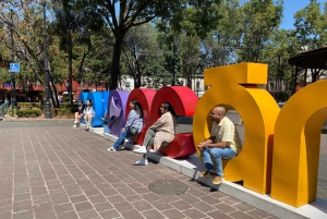 Ciudad de México: tour privado por Xochimilco, Coyoacán y Frida Kahlo