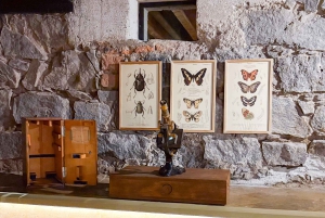 Ciudad de México: tour privado por Xochimilco, Coyoacán y Frida Kahlo