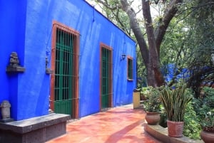 Mexico City: Xochimilco, Coyoacan & Frida Kahlo Private Tour