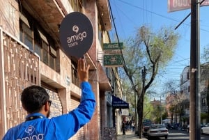 Mexico City: Xochimilco, Coyoacan & Frida Kahlo Private Tour