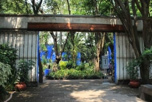 Mexico City: Xochimilco, Coyoacan & Frida Kahlo Private Tour