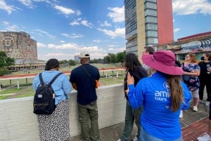 Mexico City: Xochimilco, Coyoacan & Frida Kahlo Private Tour