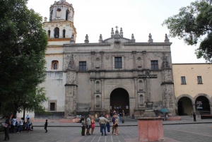 Mexico City: Xochimilco, Coyoacan, Frida Kahlo & UNAM