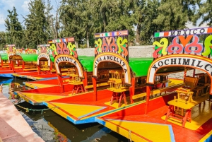Ciudad de México: Xochimilco, Coyoacán, Frida Kahlo y la UNAM