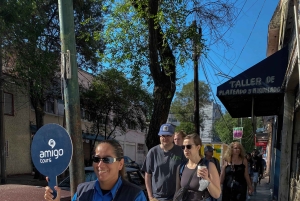 Ciudad de México: Xochimilco, Coyoacán y Frida Kahlo con almuerzo